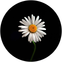 muna ardi profile picture